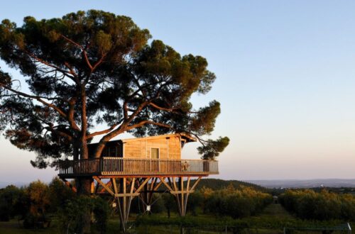 In Viterbo, tree houses become panoramic suites