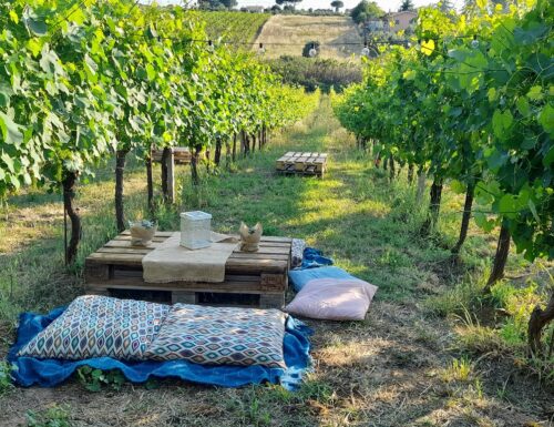 Tenuta Santi Apostoli, glasses and chopping boards in the shade of the vineyards