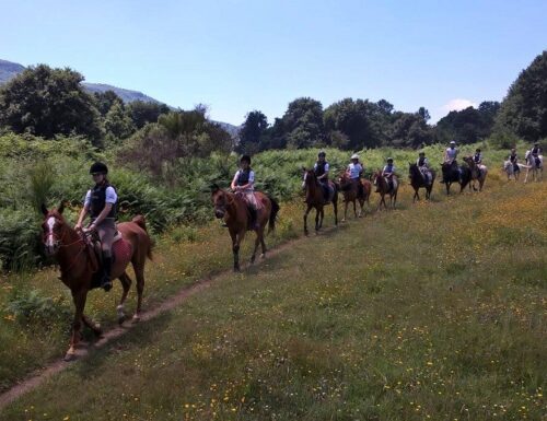 A cavallo nel Parco dei Castelli Romani, esperienza unica alla scuderia didattica