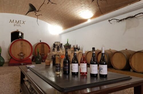 Azienda biologica De Sanctis: il wine resort tutto da gustare