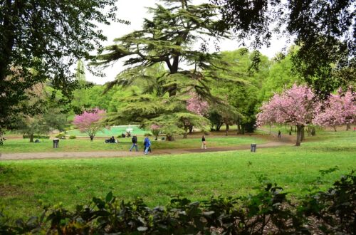 Villa Borghese gardens: the city green lung in the heart of Flaminio-Parioli area