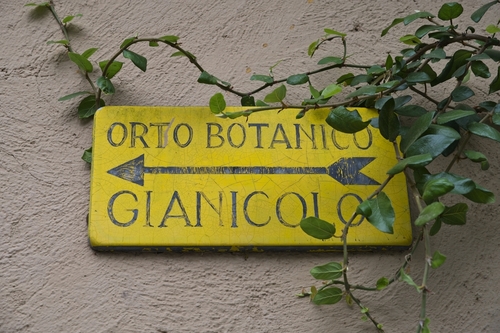 Orto Botanico: il gioiello alle pendici del Gianicolo