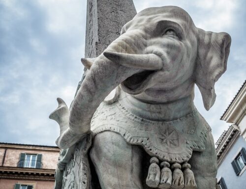 Un elefante albino approda nella Capitale. Diventerà l’amata mascotte della corte di Leone X