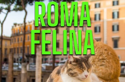 WayCover 10 novembre - Roma Felina, viaggio nella città dei gatti
