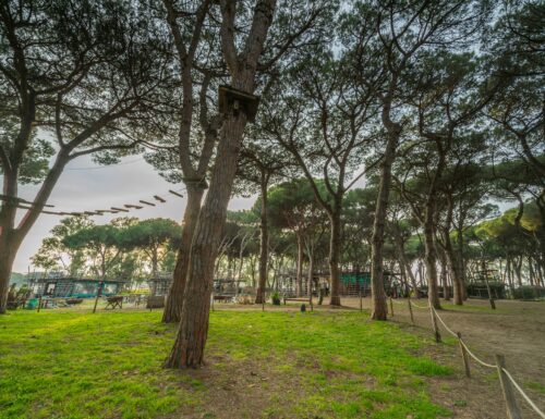 Tra i pini mediterranei di Castel Fusano, il poliedrico Centro di Formazione Outdoor per grandi e piccini