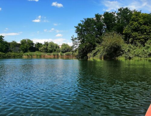 Il lago ex Snia viene dichiarato Monumento Naturale grazie alla lotta dei cittadini per la sua tutela