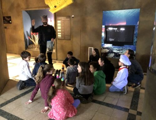 La scienza è divertente anche per i bambini al Museo Civico di Zoologia di Roma