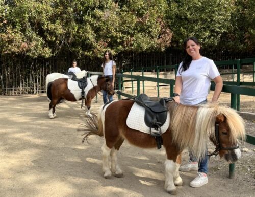 Gita sul pony a Villa Borghese, a cavallo nel parco di Roma