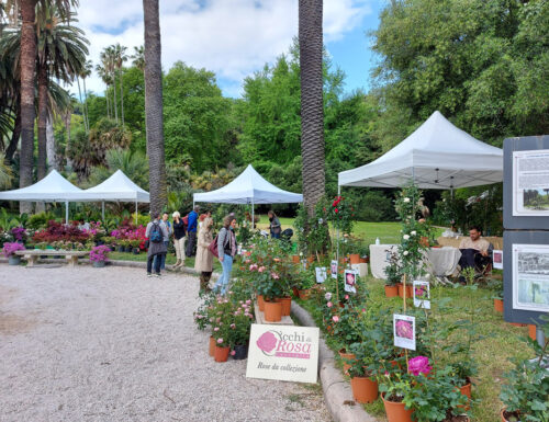 Tra fiori, germogli e sorrisi di primavera: "Era di maggio" all'Orto Botanico