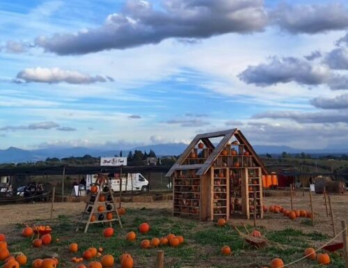 Con l'arrivo dell'autunno riapre la Fattoria della Zucca: golosità e tradizione alle porte di Roma